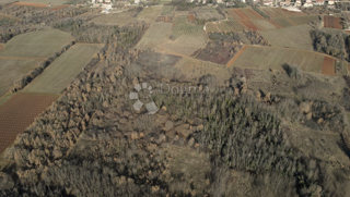 Zemljište - Prodaja - ISTARSKA - POREČ - FUŠKULIN