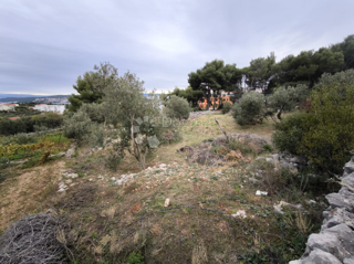 Land - Sale - SPLITSKO-DALMATINSKA - SEGET - SEGET VRANJICA