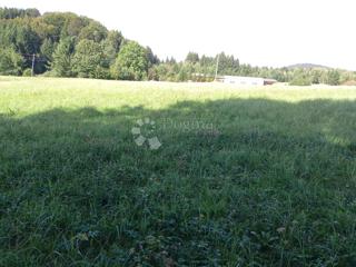 Land - Sale - PRIMORSKO-GORANSKA - RAVNA GORA - RAVNA GORA