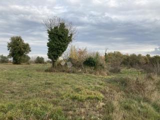 Grundstück - Verkauf - ISTARSKA - BRTONIGLA - BRTONIGLA