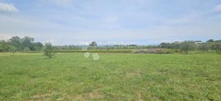 Grundstück - Verkauf - ISTARSKA - MARČANA - MARČANA