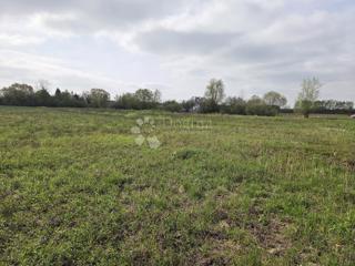 Land - Sale - ZAGREBAČKA - DUGO SELO - LEPROVICA