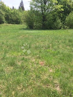 Land - Sale - PRIMORSKO-GORANSKA - DELNICE - CRNI LUG
