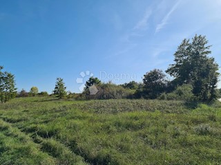 Land - Sale - ISTARSKA - SVETVINČENAT - SVETVINČENAT