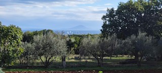 Land - Sale - ISTARSKA - MARČANA - KRNICA