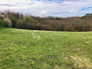 Land - Sale - ISTARSKA - ŽMINJ - ŽMINJ