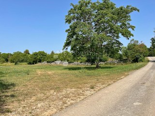 Land - Sale - ISTARSKA - ŽMINJ - ŽMINJ