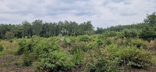 Land - Sale - ISTARSKA - VODNJAN - VODNJAN