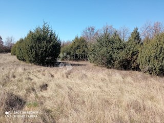 Land - Sale - ISTARSKA - KANFANAR - MRGANI