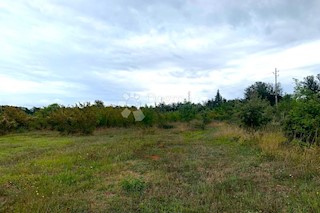 Land - Sale - ISTARSKA - PULA - PULA