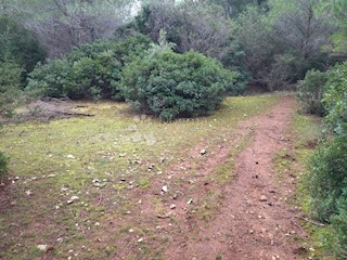 Land - Sale - SPLITSKO-DALMATINSKA - BRAČ - NOVO SELO