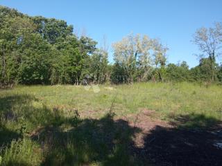 Land - Sale - ISTARSKA - BARBAN - ROJNIĆI