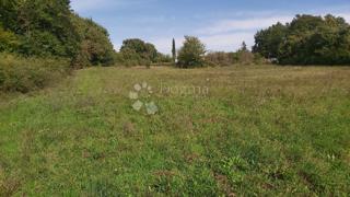 Land - Sale - ISTARSKA - BARBAN - BARBAN