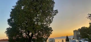 House - Sale - PRIMORSKO-GORANSKA - RIJEKA - BANDEROVO