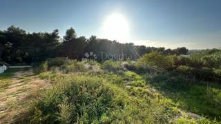 Land - Sale - ISTARSKA - PULA - PULA