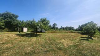Land - Sale - ISTARSKA - BARBAN - BARBAN