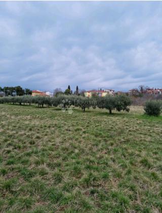 Grundstück - Verkauf - ISTARSKA - UMAG - MURINE