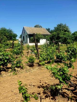 Kuća - Prodaja - OSJEČKO-BARANJSKA - KNEŽEVI VINOGRADI - KAMENAC