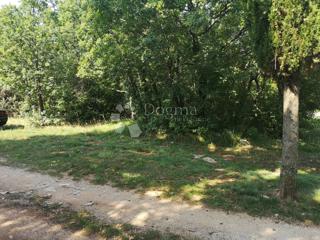Land - Sale - ISTARSKA - SVETVINČENAT - ČABRUNIĆI