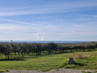 Land - Sale - ISTARSKA - POREČ - POREČ