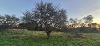 Grundstück - Verkauf - ISTARSKA - PULA - PULA