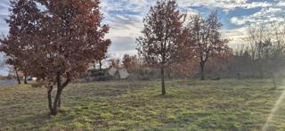 Land - Sale - ISTARSKA - MARČANA - LOBORIKA