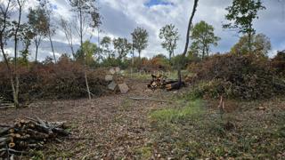 Land - Sale - ISTARSKA - BARBAN - BARBAN