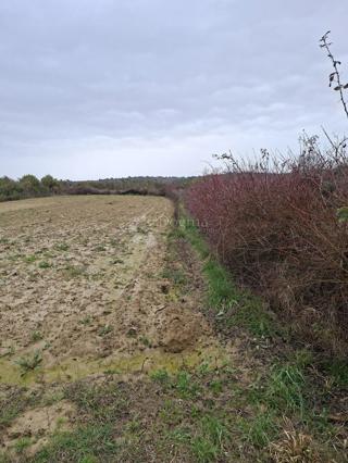 Zemljište - Prodaja - ZADARSKA - RAŽANAC - KRNEZA