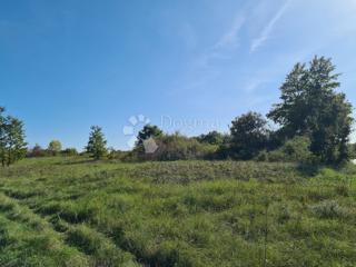 Land - Sale - ISTARSKA - SVETVINČENAT - SVETVINČENAT