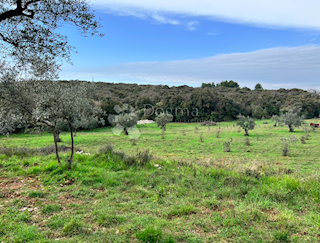 Land - Sale - ISTARSKA - PULA - PULA