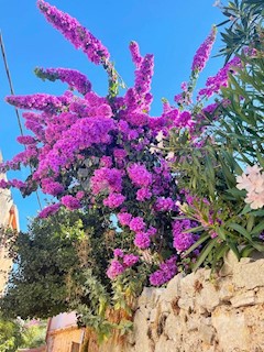 House - Sale - PRIMORSKO-GORANSKA - MALI LOŠINJ - VELI LOŠINJ