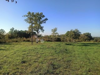 Land - Sale - ISTARSKA - BARBAN - BARBAN