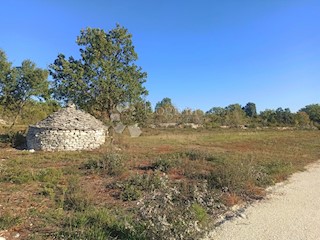 Land - Sale - ISTARSKA - VODNJAN - PEROJ