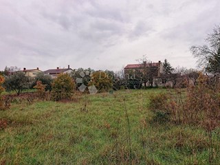 Land - Sale - ISTARSKA - PULA - PULA