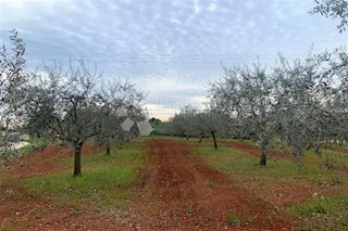 Zemljište - Prodaja - ISTARSKA - VIŽINADA - VIŽINADA