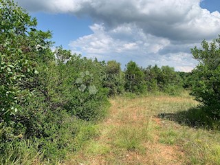 Land - Sale - ISTARSKA - ROVINJ - ROVINJSKO SELO