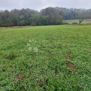 Land - Sale - ZAGREBAČKA - SVETI IVAN ZELINA - GORIČANEC