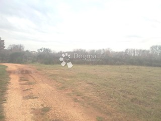 Land - Sale - ISTARSKA - MARČANA - LOBORIKA