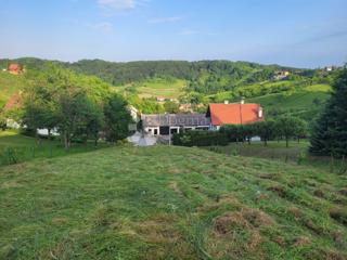 Land - Sale - ZAGREBAČKA - SAMOBOR - MOLVICE