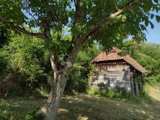 House - Sale - SISAČKO-MOSLAVAČKA - GVOZD - GOLINJA