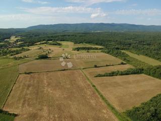 Land - Sale - BRODSKO-POSAVSKA - GORNJI BOGIĆEVCI - SMRTIĆ