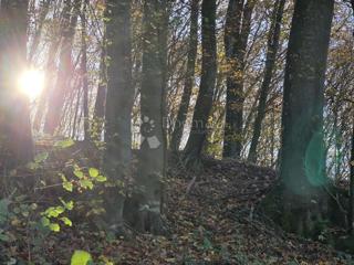 Grundstück - Verkauf - KRAPINSKO-ZAGORSKA - KRAPINSKE TOPLICE - SELNO