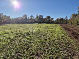 Land - Sale - ISTARSKA - BARBAN - BARBAN