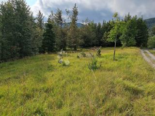 Land - Sale - PRIMORSKO-GORANSKA - RAVNA GORA - STARI LAZ