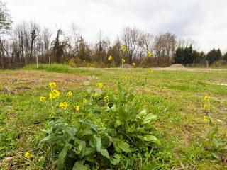 Grundstück - Verkauf - MEĐIMURSKA - OREHOVICA - PODBREST