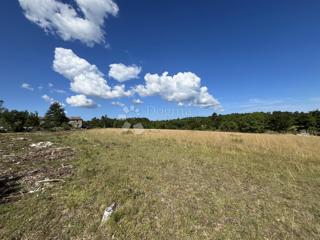 Land - Sale - ISTARSKA - GROŽNJAN - GROŽNJAN