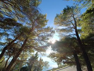 Land - Sale - SPLITSKO-DALMATINSKA - OMIŠ - LOKVA ROGOZNICA