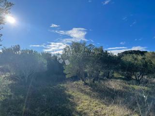 Zemljište - Prodaja - ZADARSKA - PAŠMAN - KRAJ