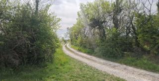 Grundstück - Verkauf - ZADARSKA - ZEMUNIK DONJI - SMOKOVIĆ