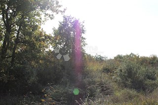 Land - Sale - ISTARSKA - VODNJAN - VODNJAN